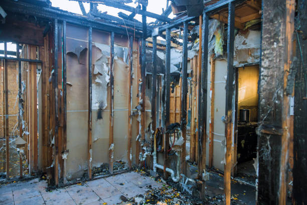 Professional Smoke Damage Removal technician working in Brandon, FL
