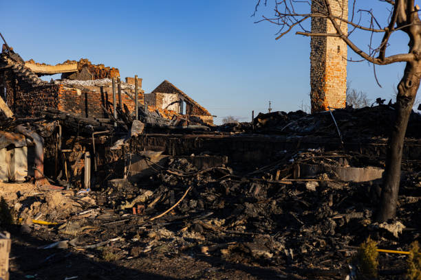Reliable Smoke Damage Removal contractor in Brandon, FL by Fire Damage Doption