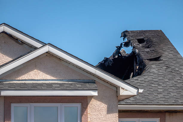 Top rated local Smoke Damage Removal specialists in Brandon, FL